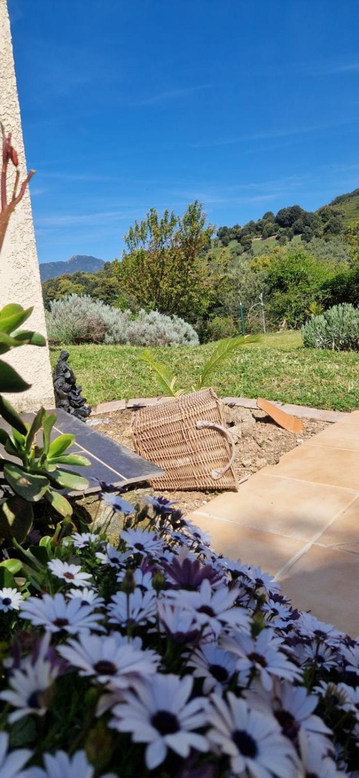 Mare E Monti Chez Thomas Et Magali Bed & Breakfast Vico Dış mekan fotoğraf