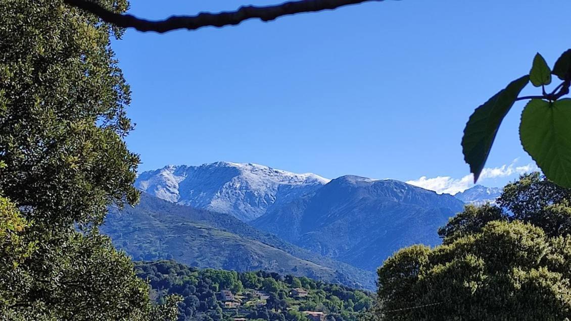Mare E Monti Chez Thomas Et Magali Bed & Breakfast Vico Dış mekan fotoğraf