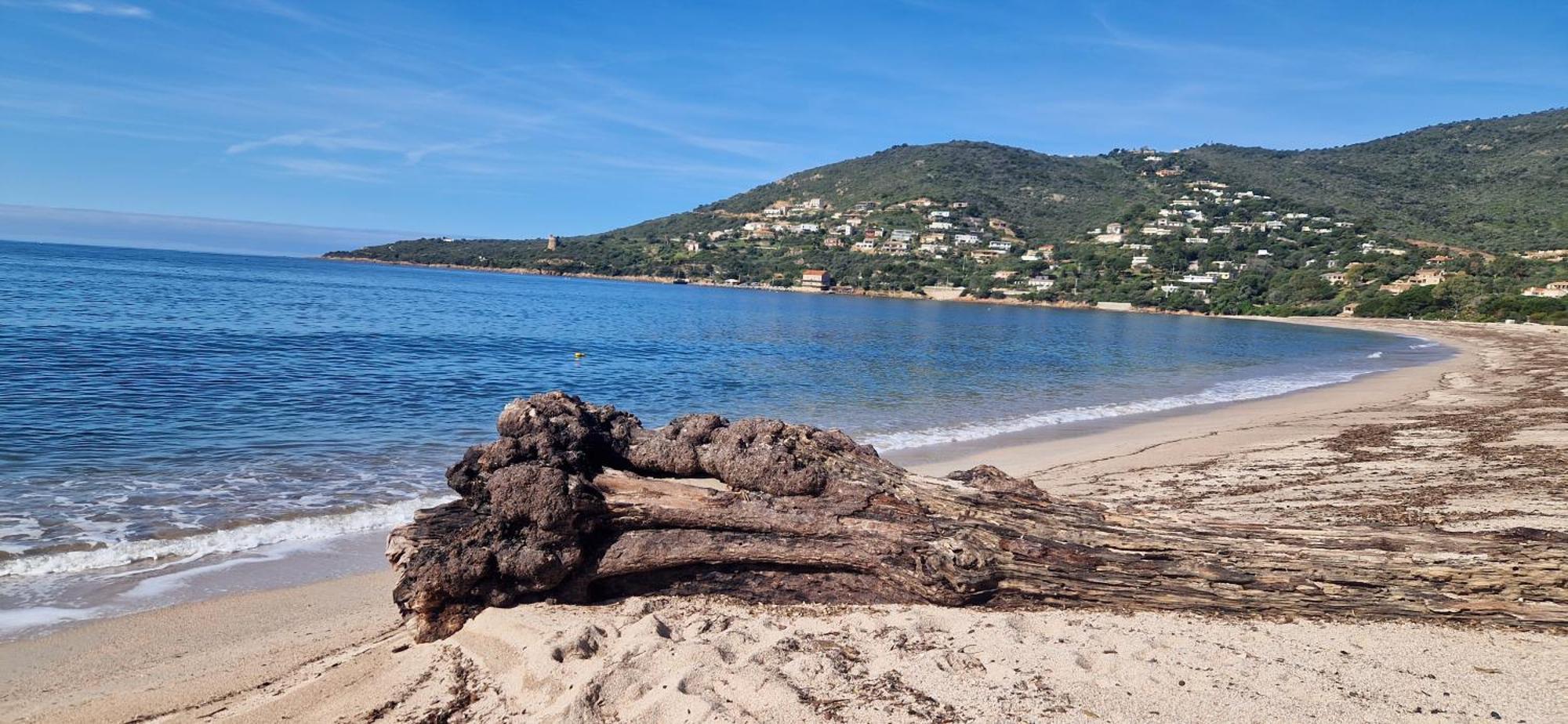 Mare E Monti Chez Thomas Et Magali Bed & Breakfast Vico Dış mekan fotoğraf